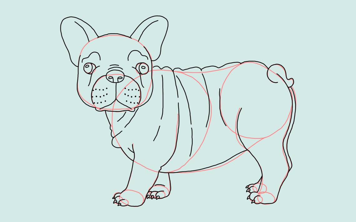 How To Draw A Dog