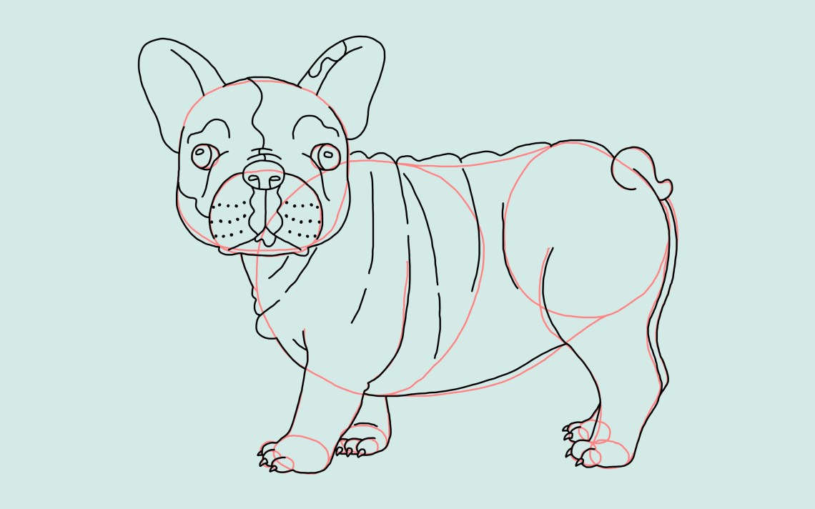 How To Draw A Dog