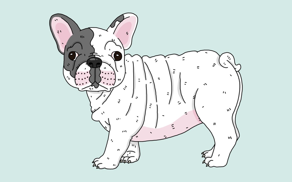 How To Draw A Dog