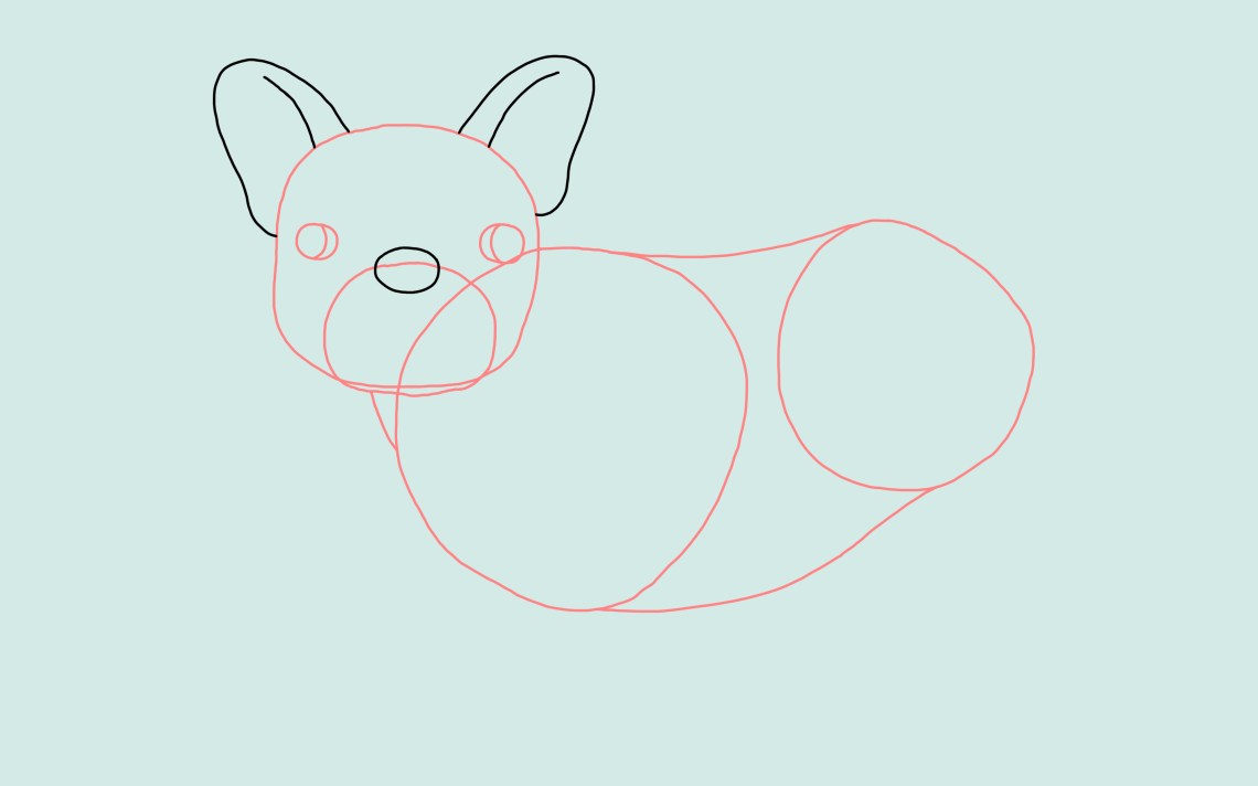 How To Draw A Dog