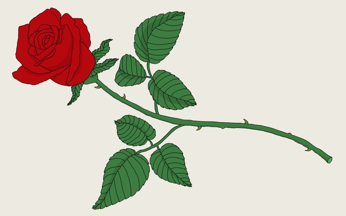 How To Draw A Rose