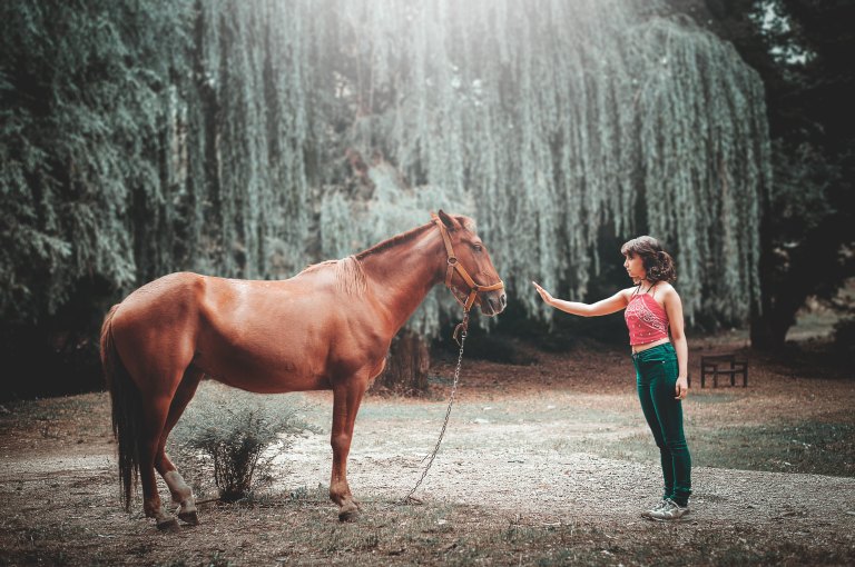 Horse Names