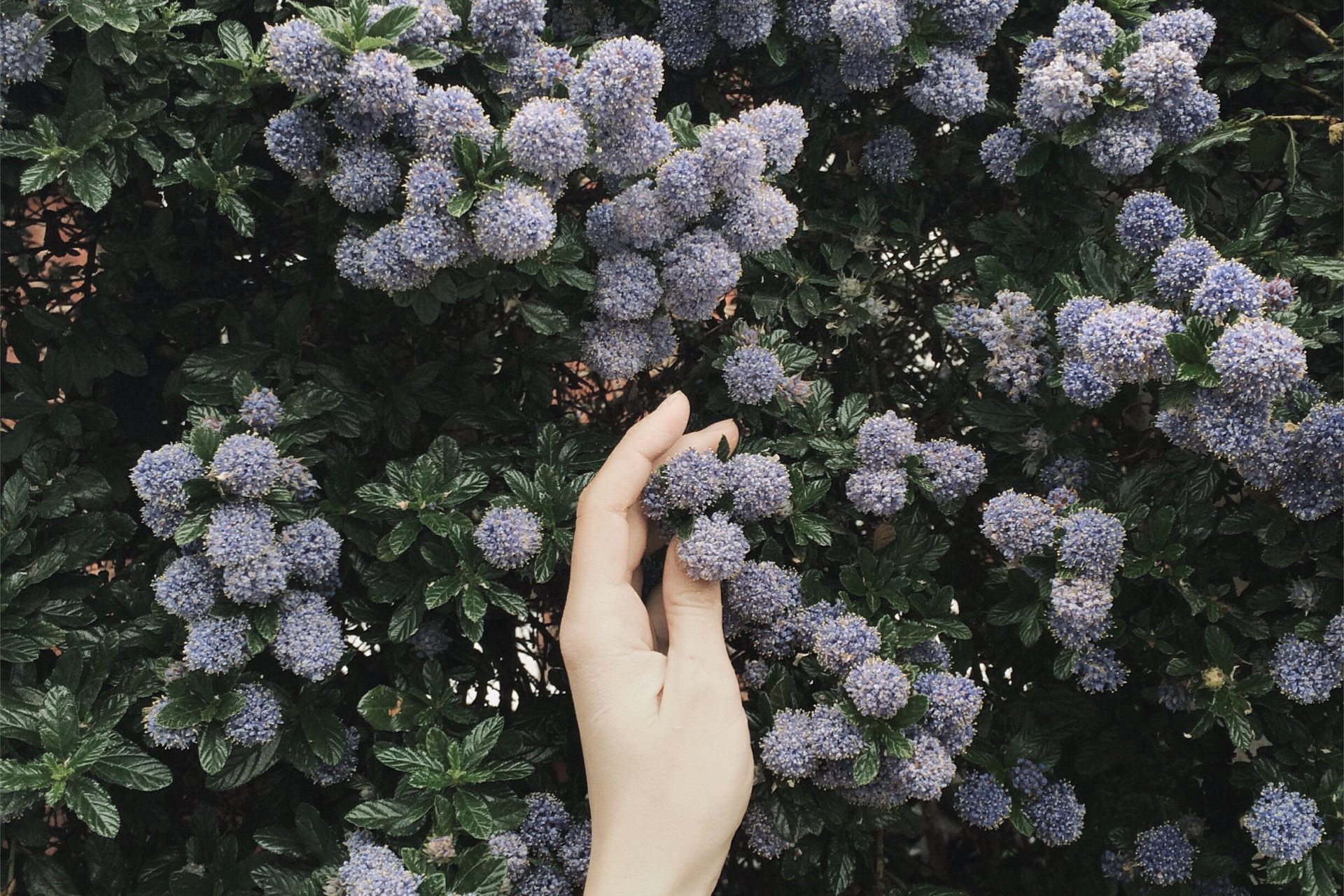 Forget That Thing You Heard About Love Having To Hurt Sometimes