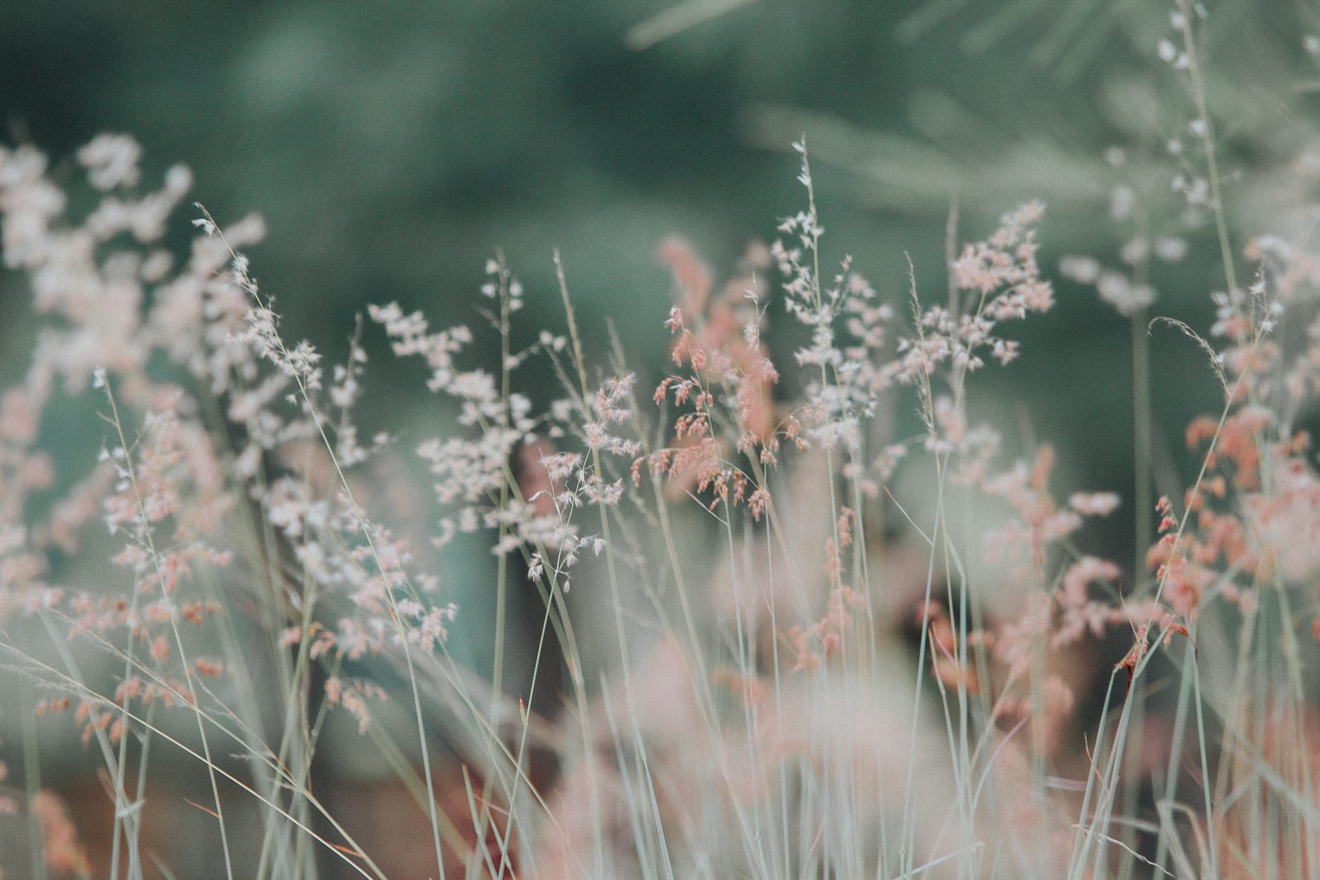 Quotes For Each Sign To Meditate On As We Enter Leo Season