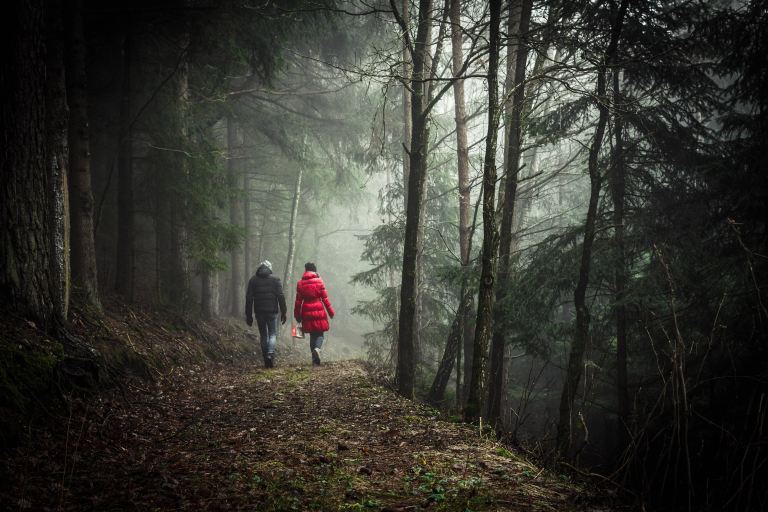 30 Hikers On The Single Scariest Thing They've Seen Deep In The Woods