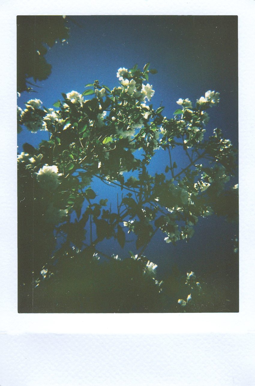 I Won’t Wait For You