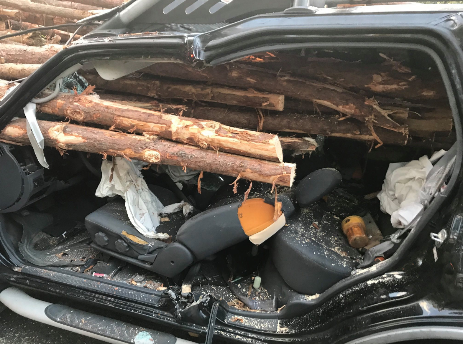 If You’ve Seen ‘Final Destination’, You Already Know Why You Shouldn’t Drive Behind Logging Trucks
