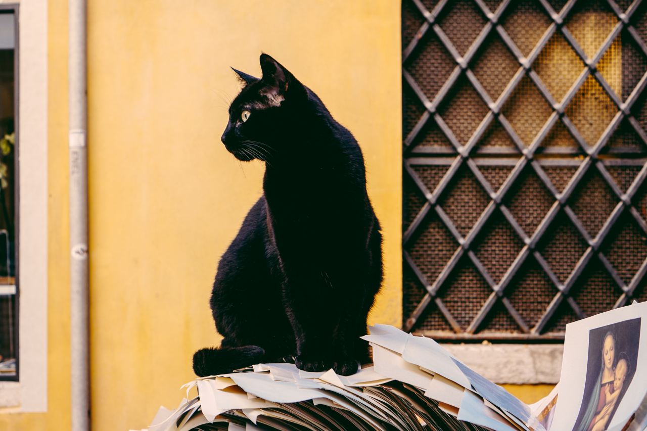 30 Creepy Superstitions You Don't Even Realize You've Been Practicing