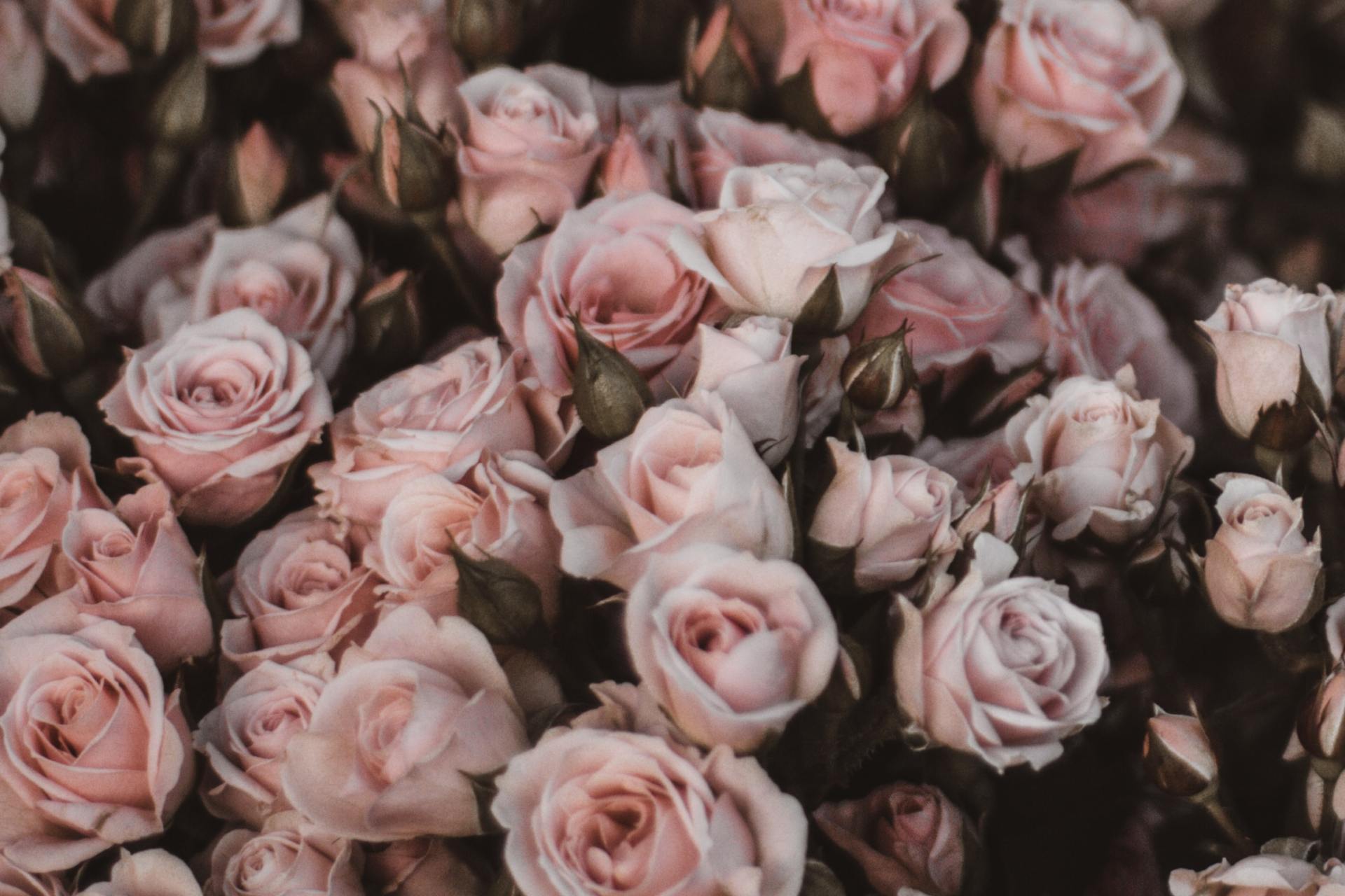 I Think I Loved You Because I Found Bits Of Myself In You