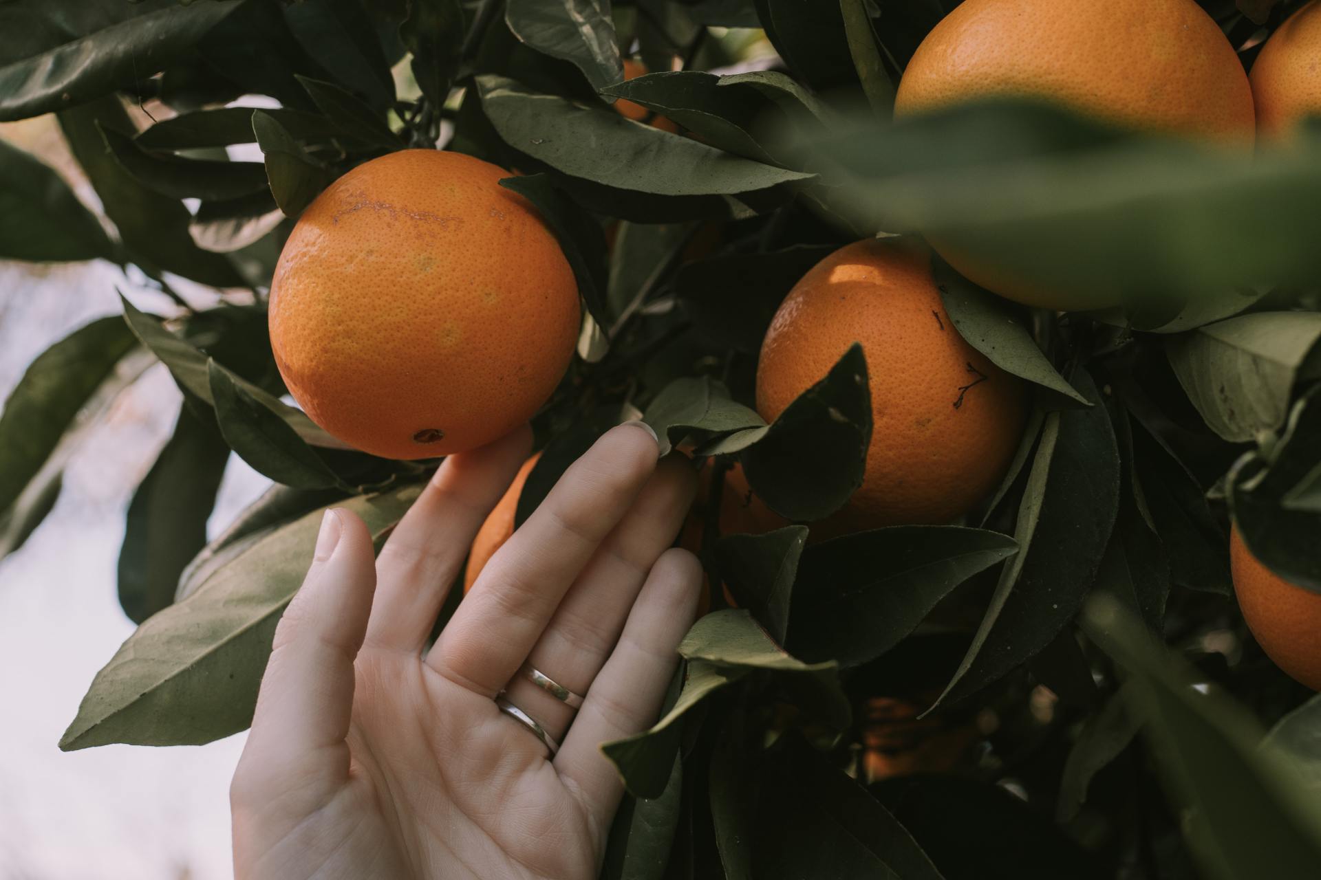 Why I’m Officially Retiring From Modern Dating