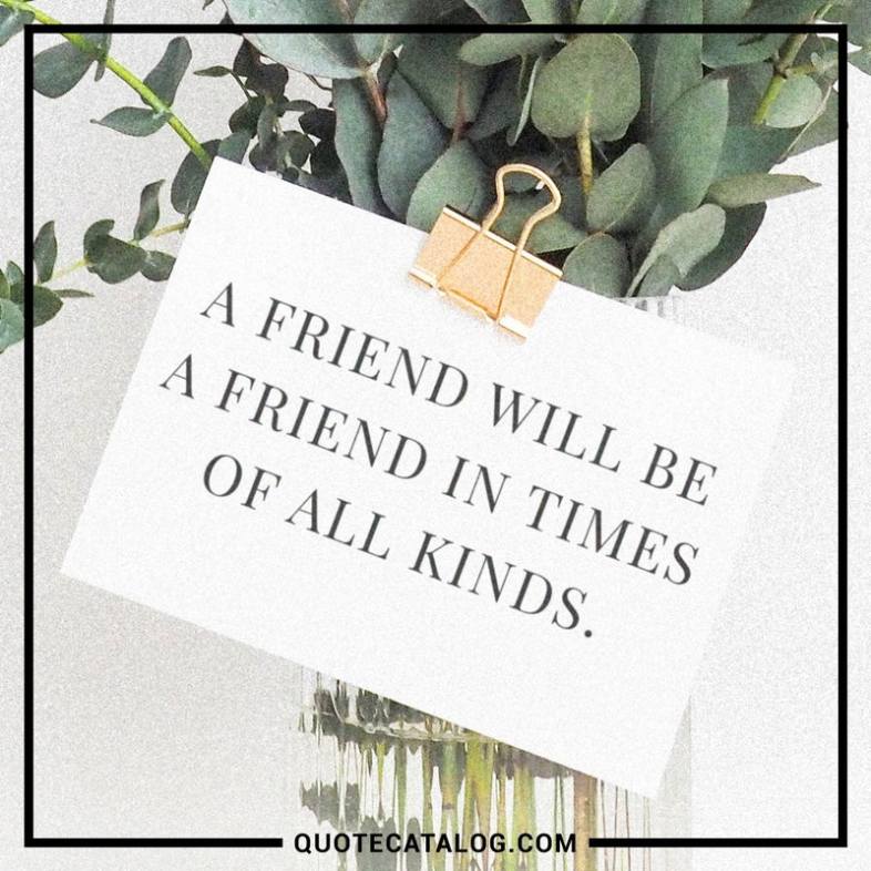 Friendship Quotes