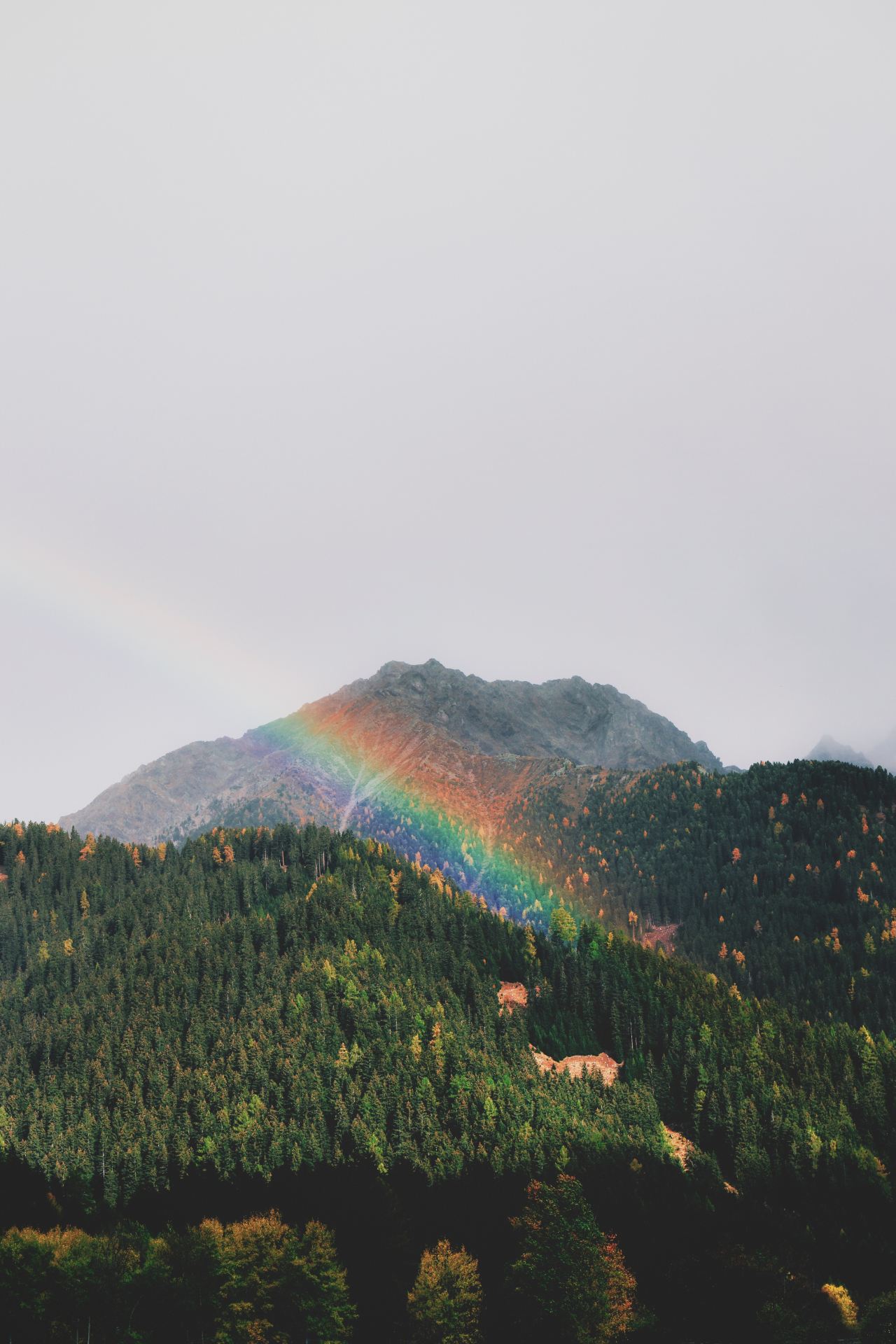 rainbow over green tree covered hill