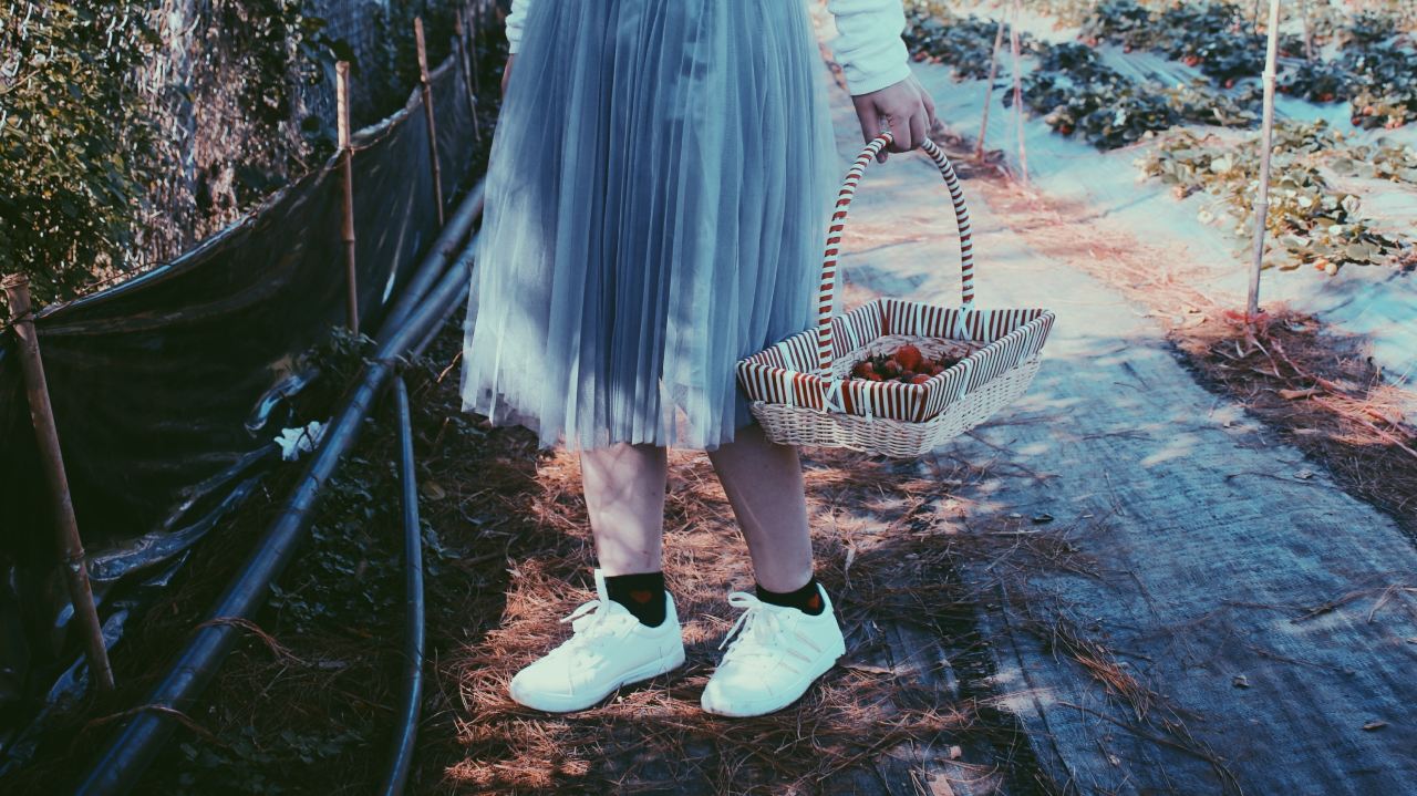 person standing near plant holding basket