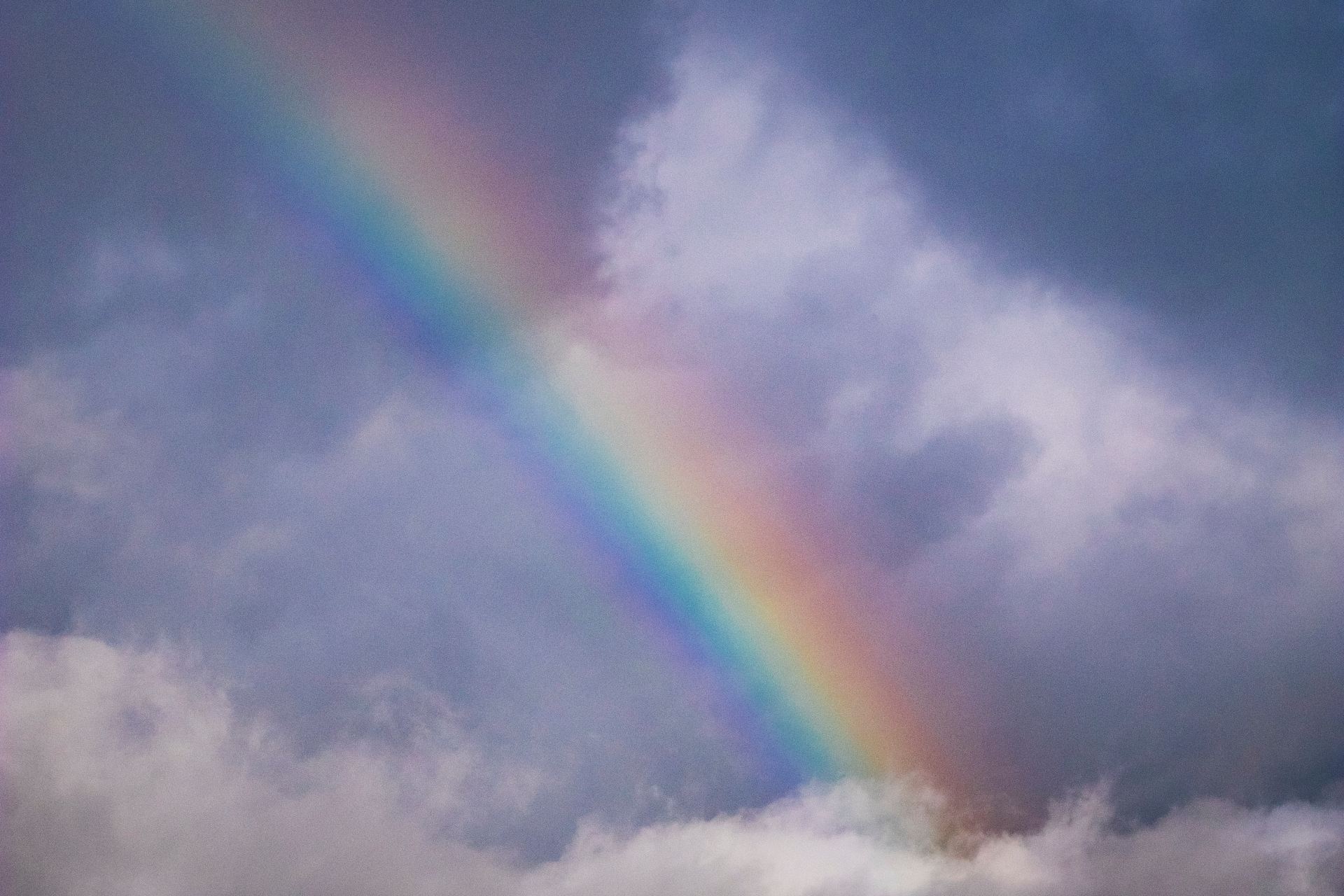 rainbow during daytime