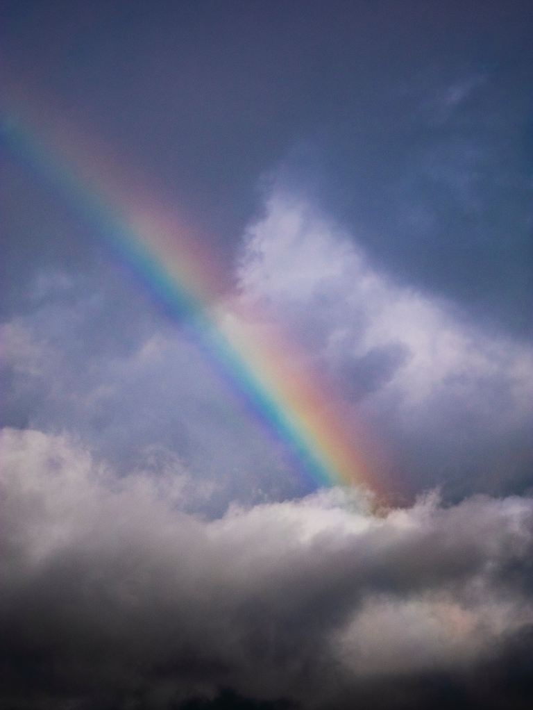 rainbow during daytime