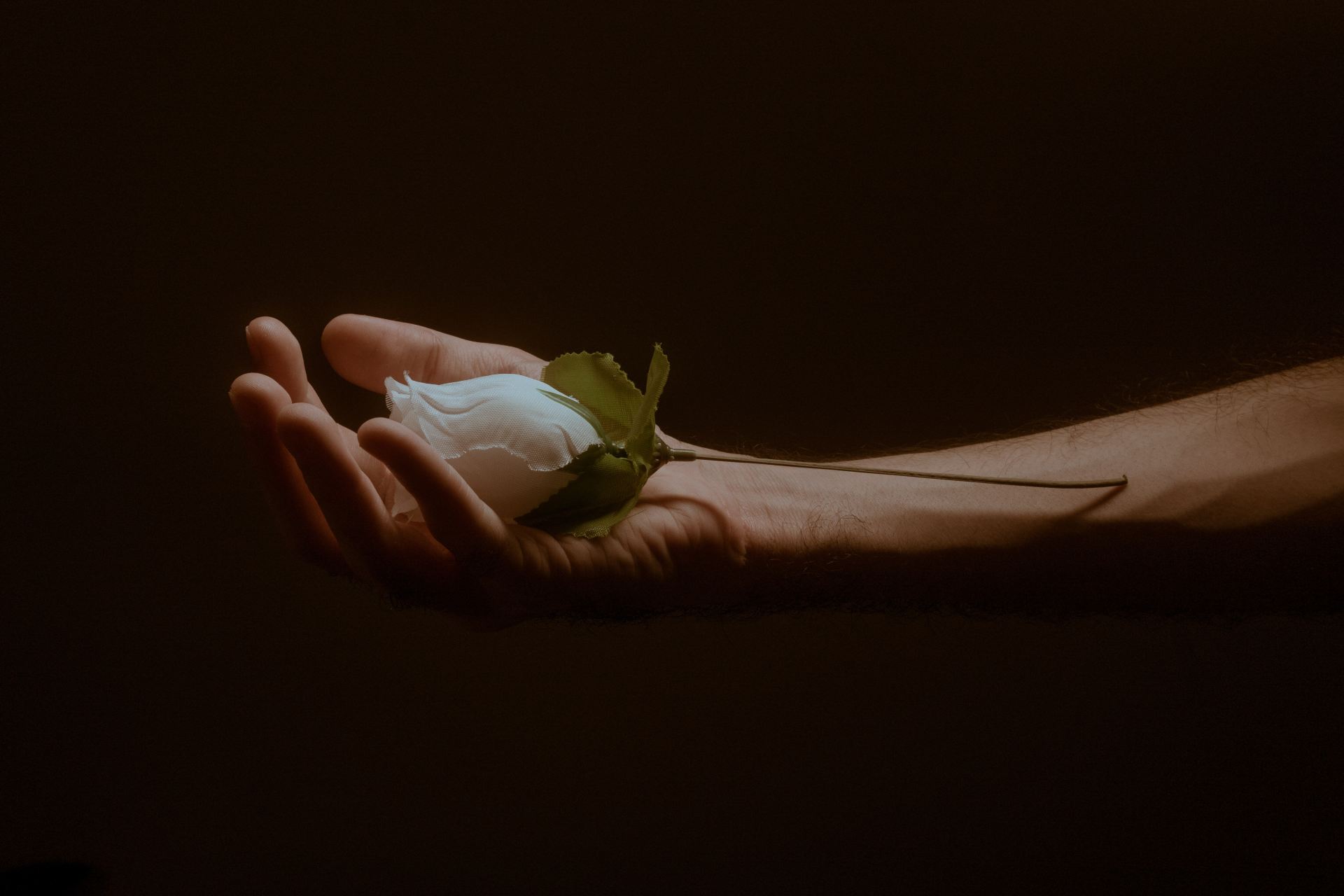 For The Loved Ones Who Left Us A Little Too Soon