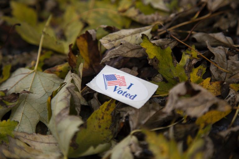 I Voted coupon on green and brown leaves during daytime