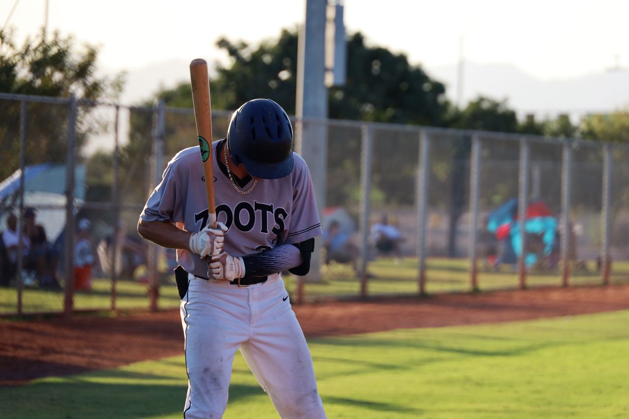 man in blue shirt and white pants holding baseball bat during daytime