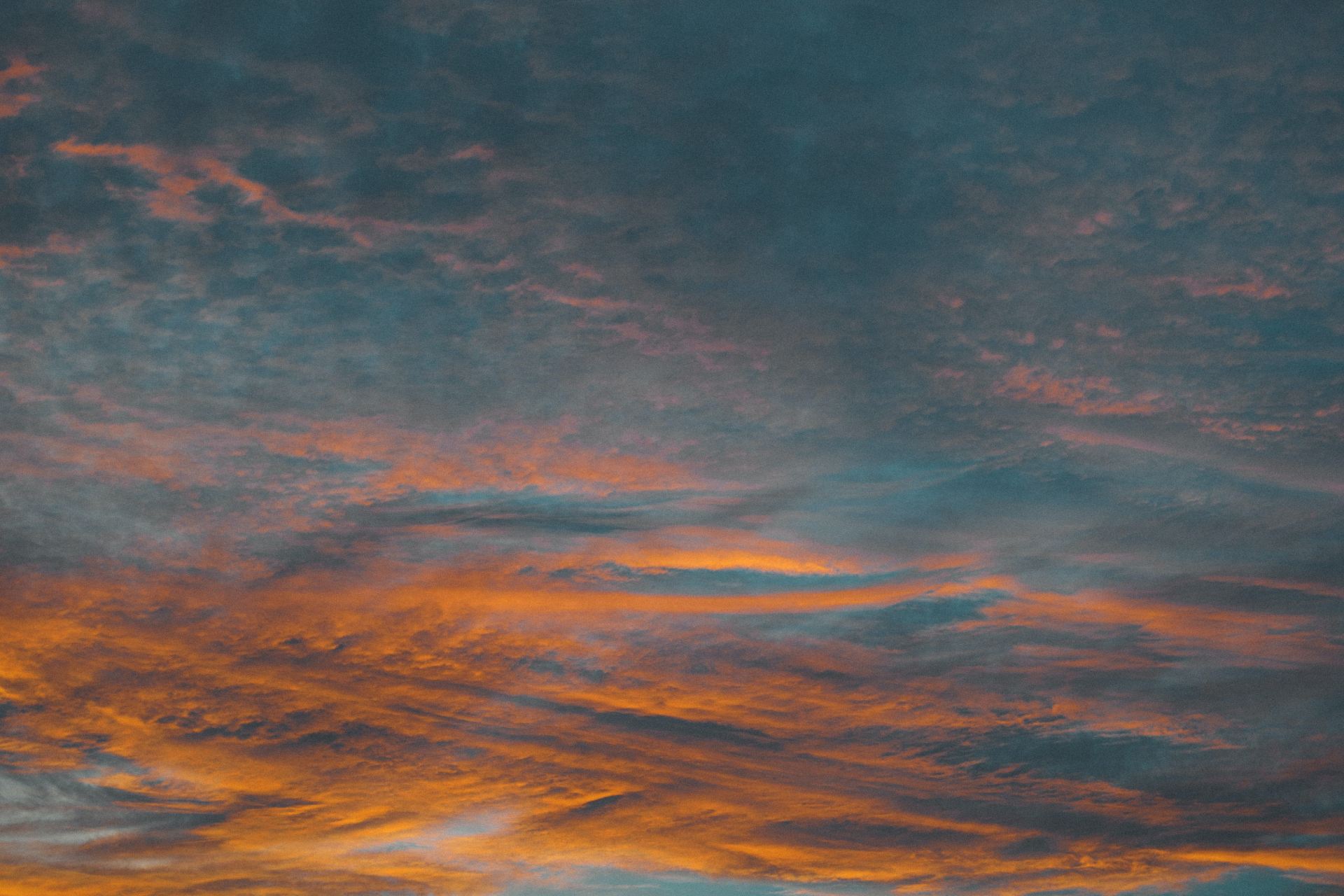 flock of birds in flight under clouds during golden hour