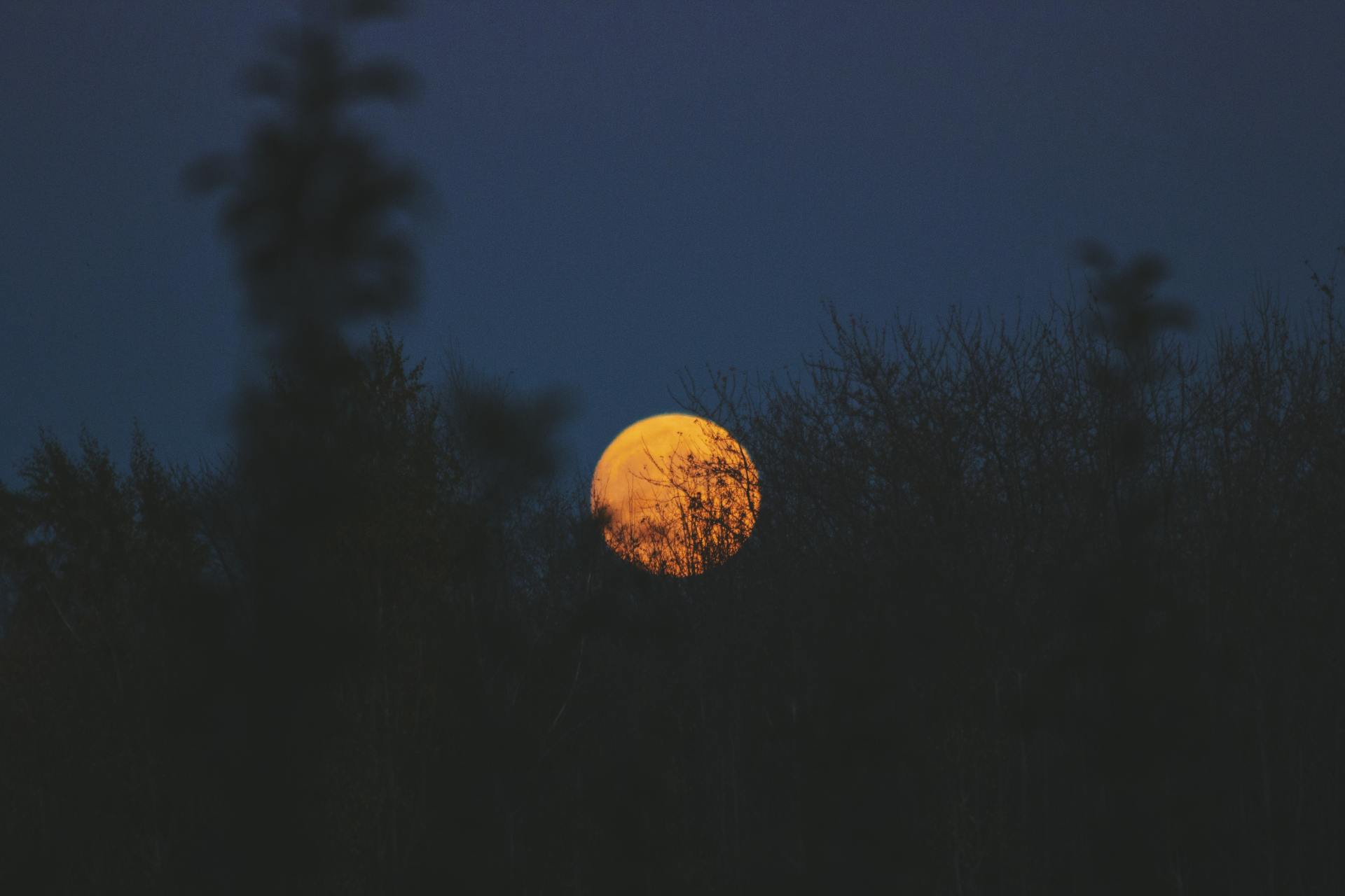 200+ Best Good Night Messages for Loved Ones
