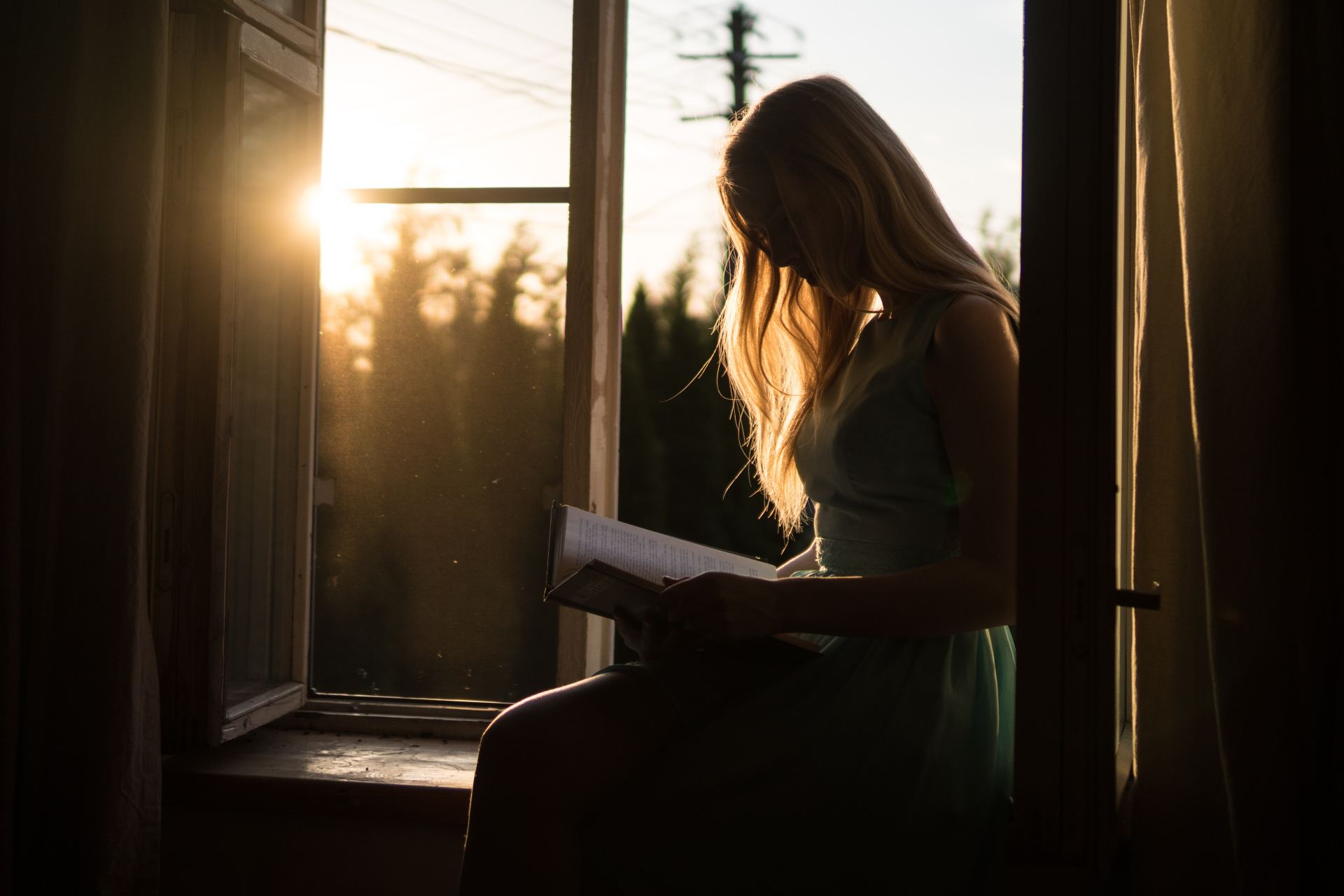 woman reading book while sitting at window