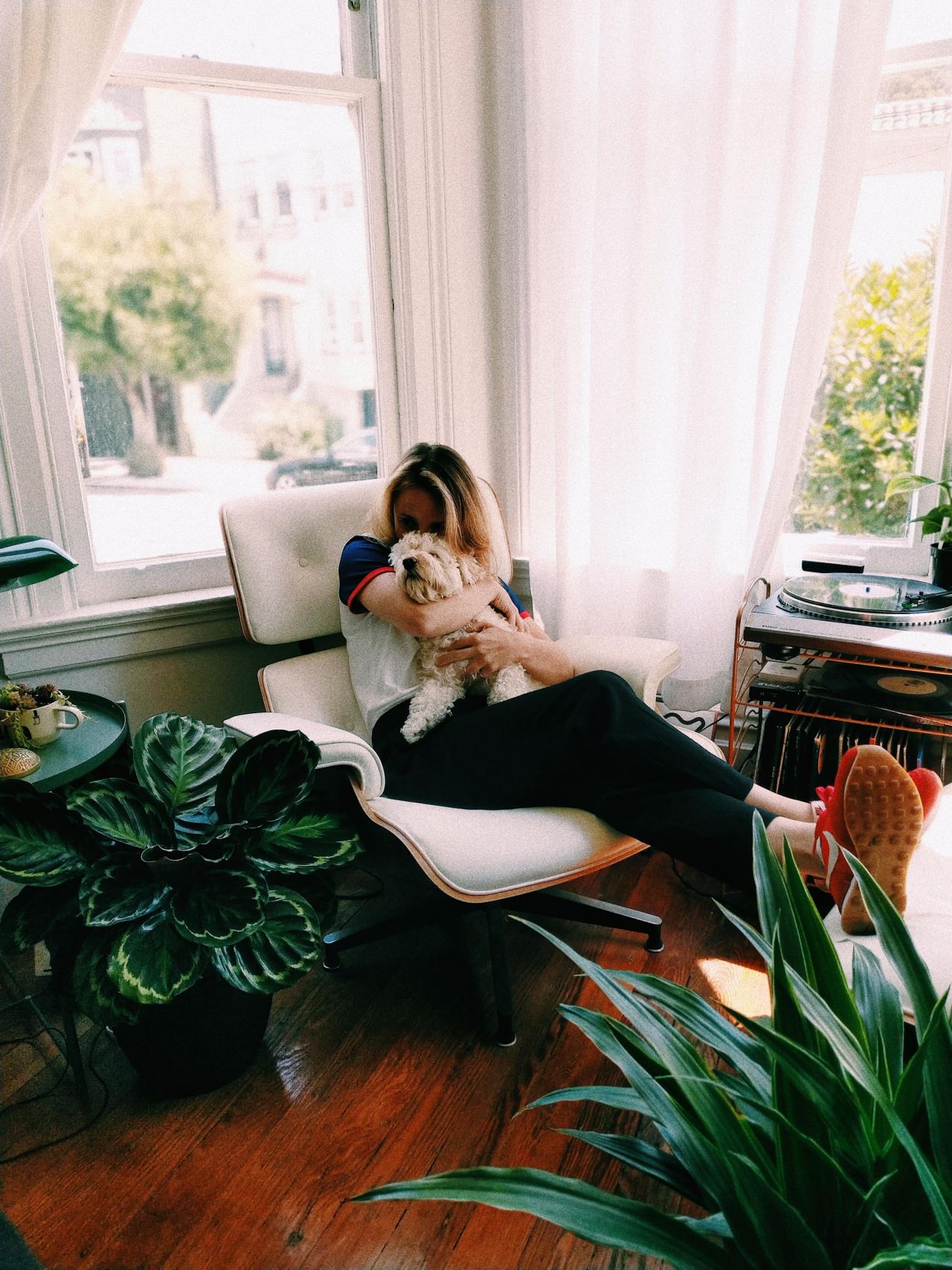 woman kissing dog while sitting on chair