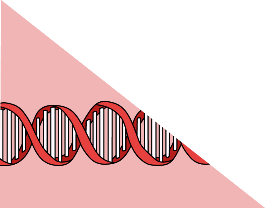 Genes
