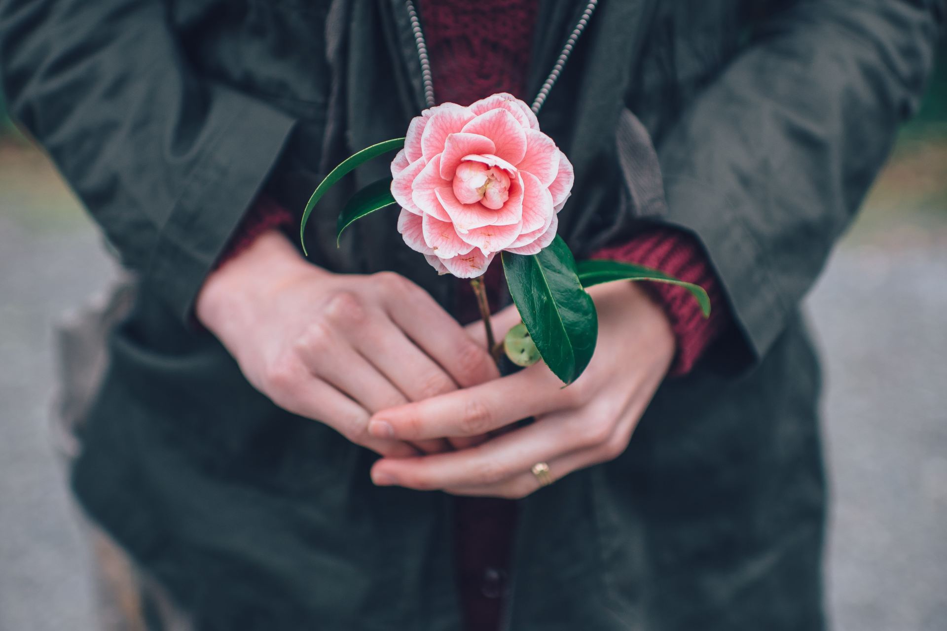 woman in black leather jacket holding pink flower during daytime