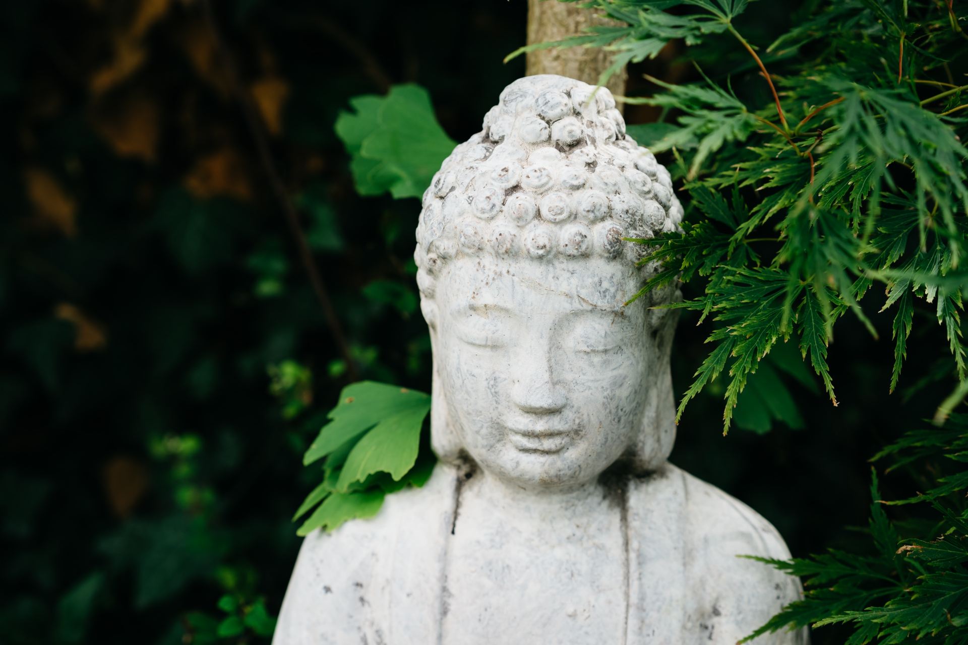 white concrete statue near green plant