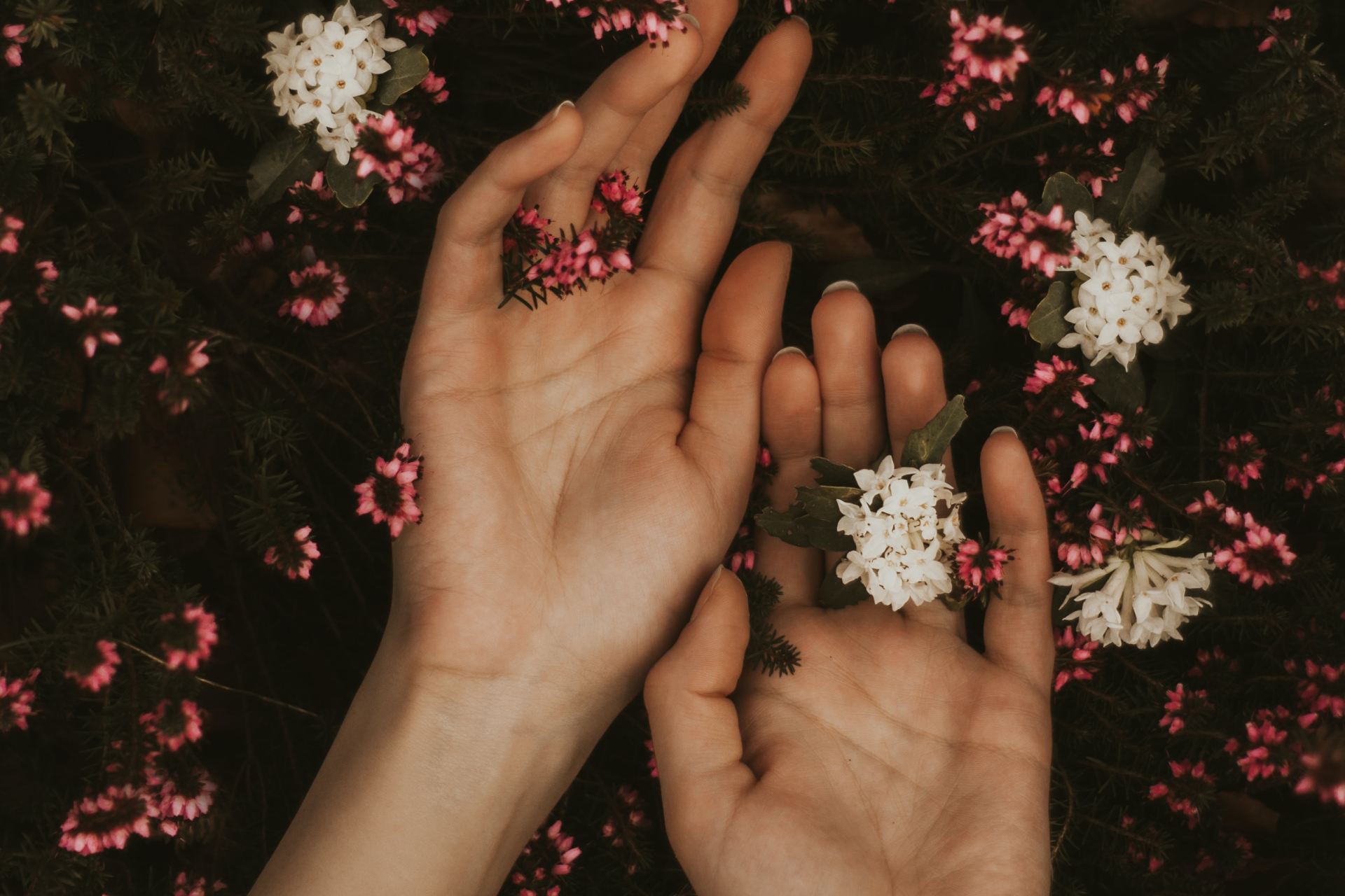 This Is How I Fell Out Of Love With You