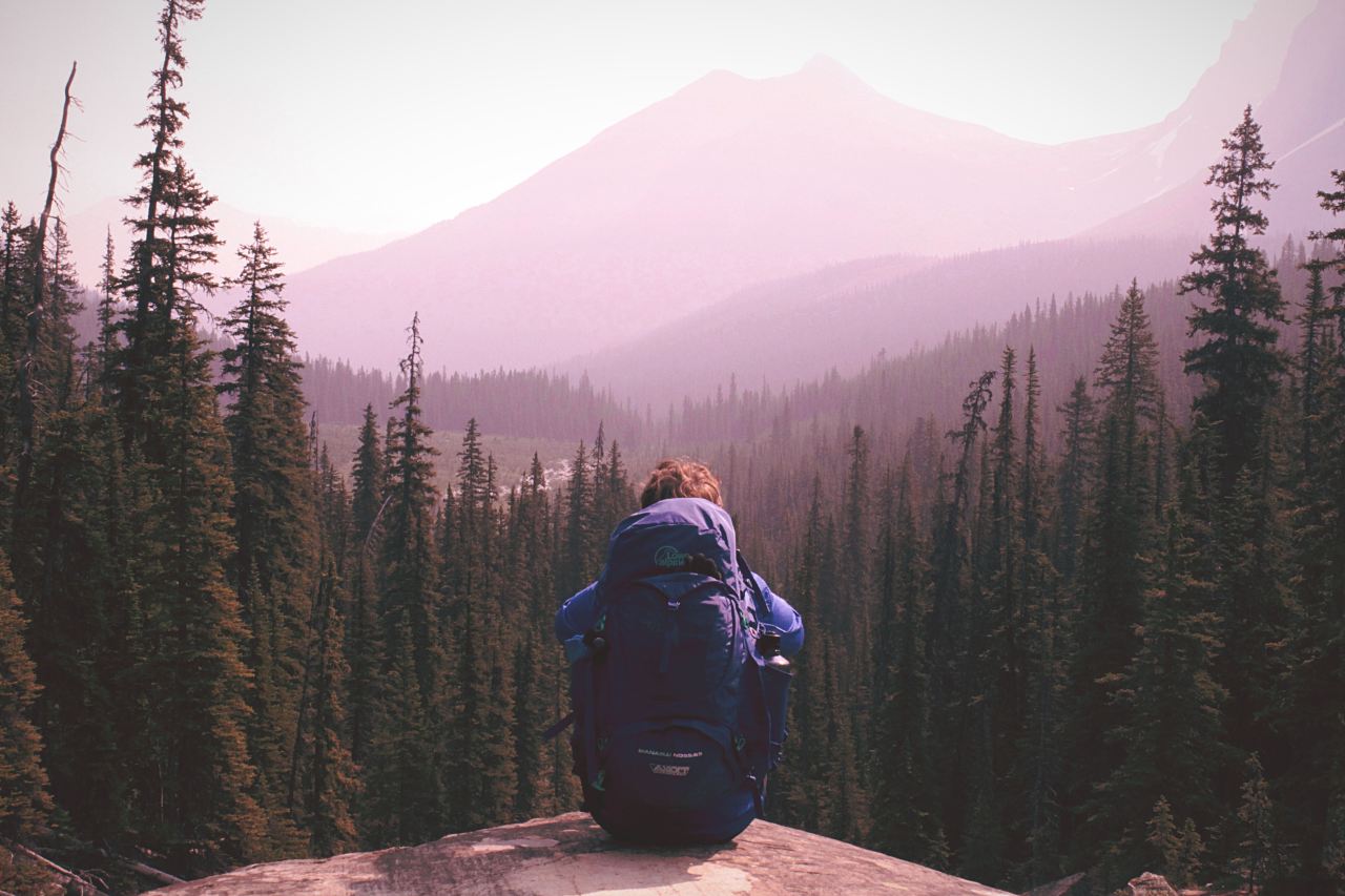 man standing on top of mountain with pine trees view