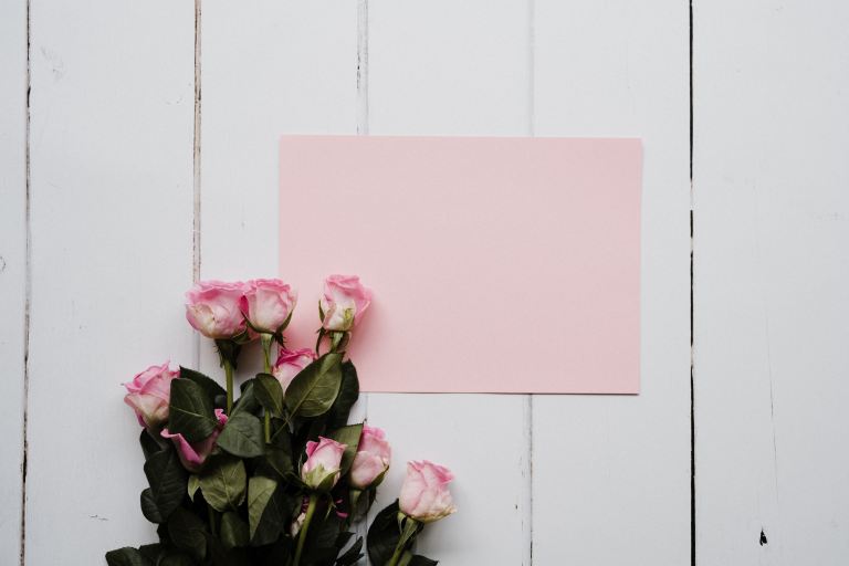 pink rose bouquet on white wooden wall