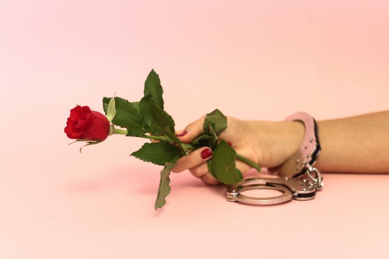 person holding red rose flowers