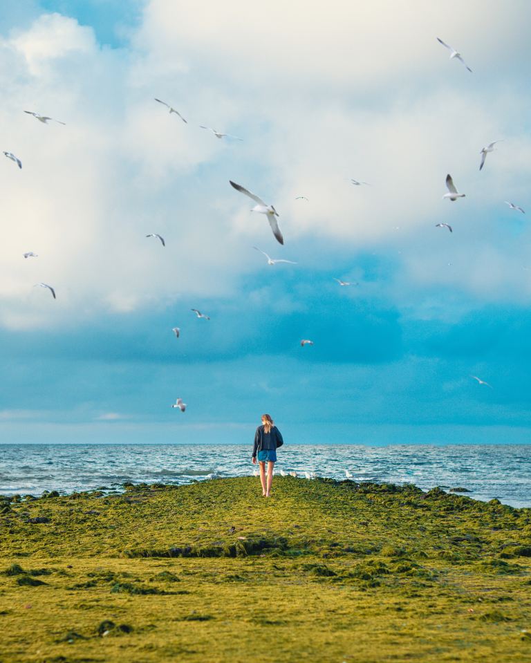 woman standing on cliff with birds flying under sea