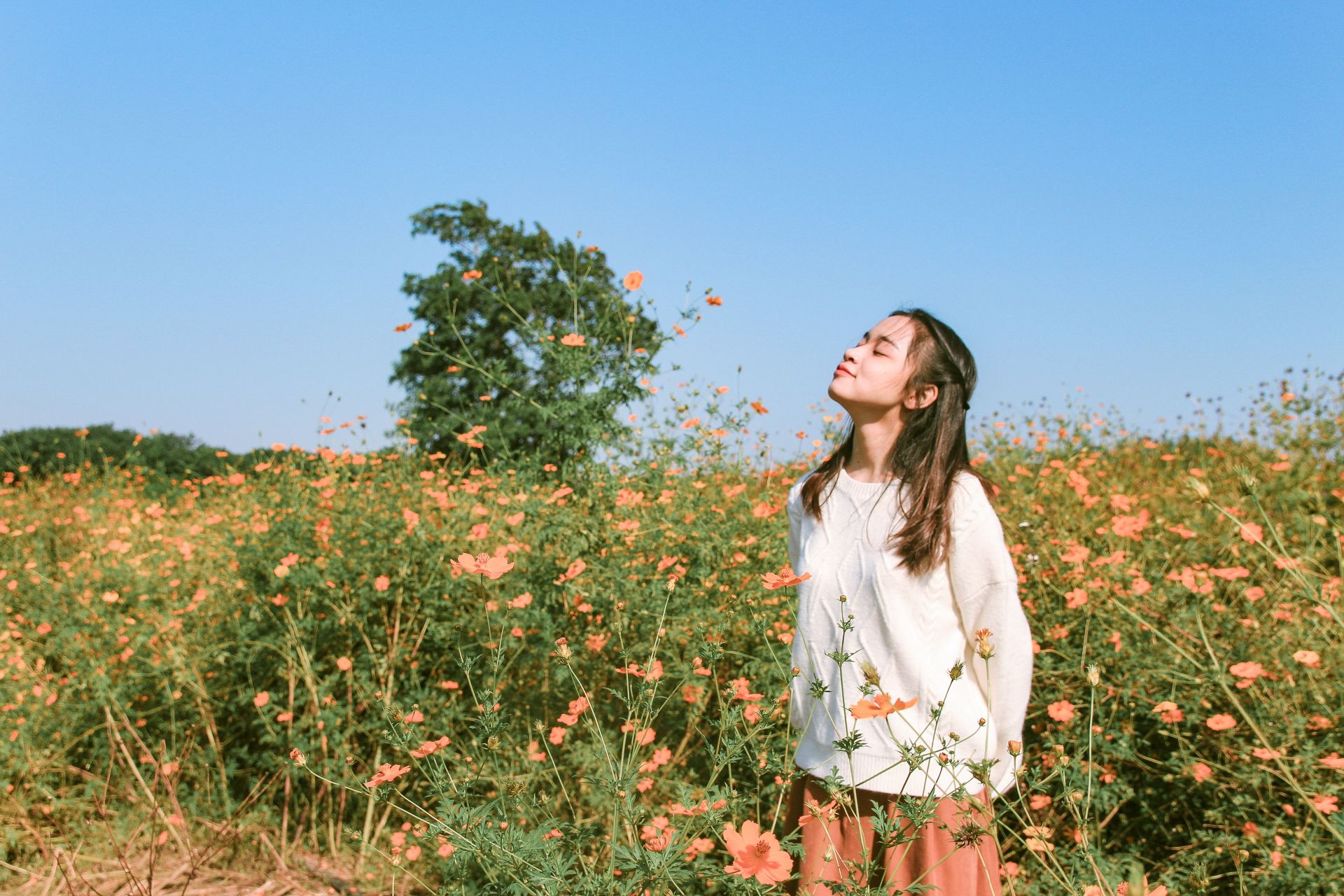 woman in white long sleeve shirt and brown skirt standing on flower field during daytime