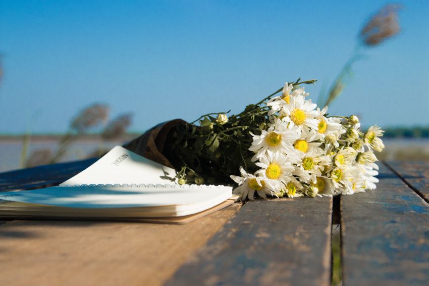 white and yellow flowers on book page