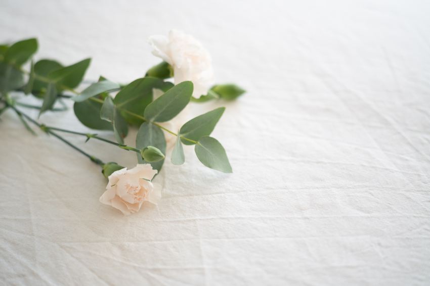 white flower on white textile