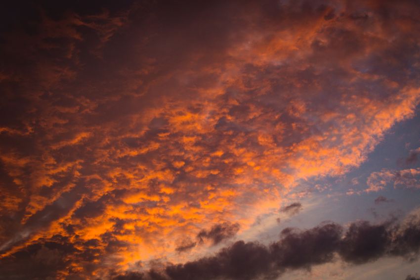 orange and gray clouds