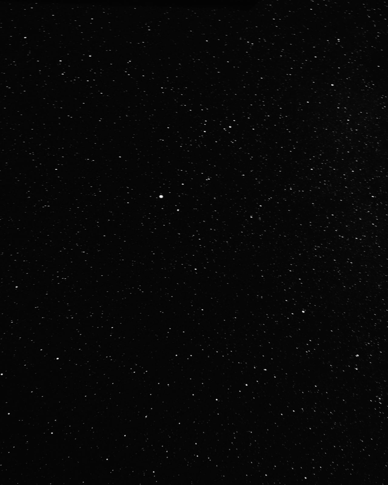 black and white stars in the sky