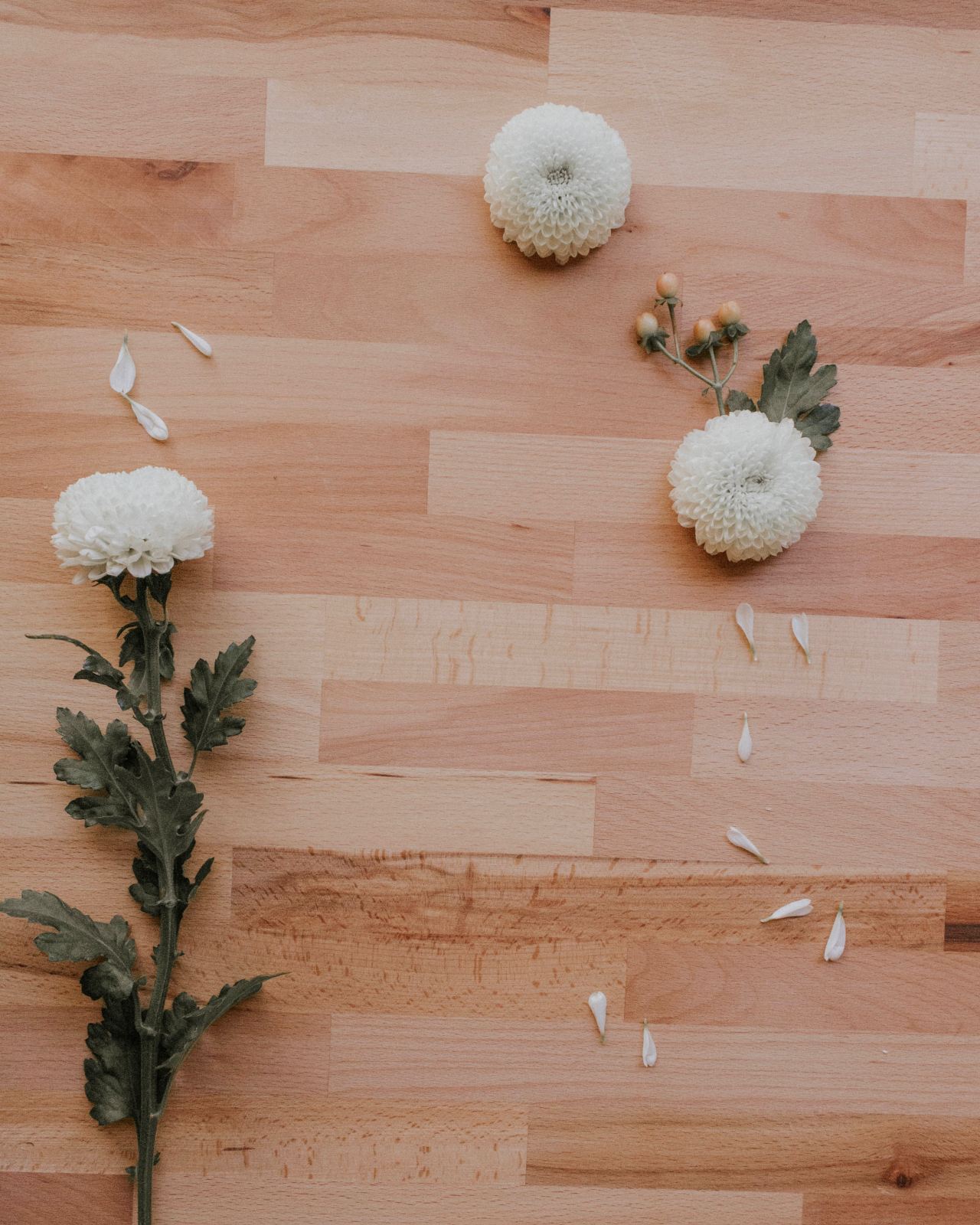 white flowers on brown wooden table