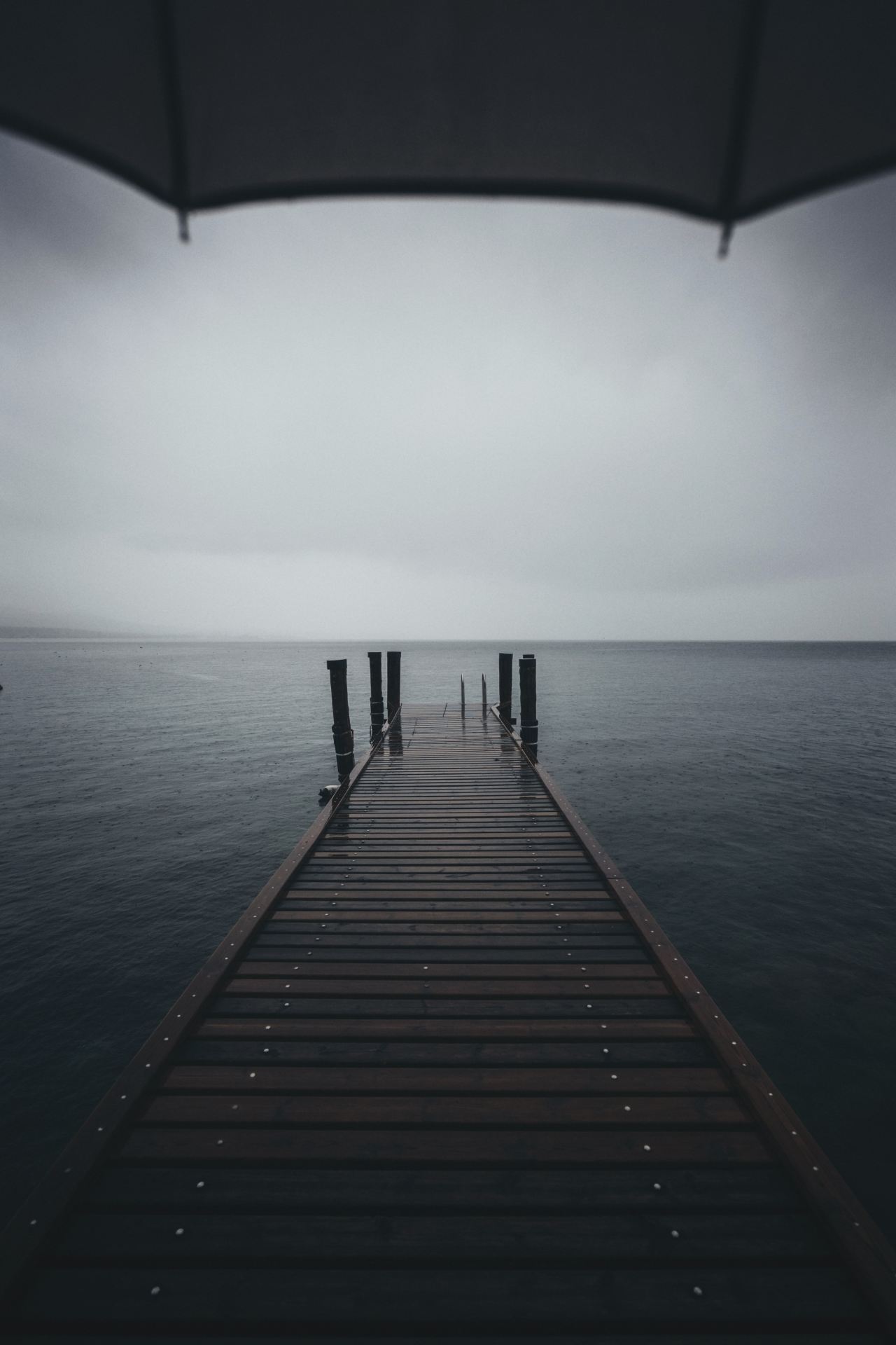 brown wooden dock near body of water at daytime