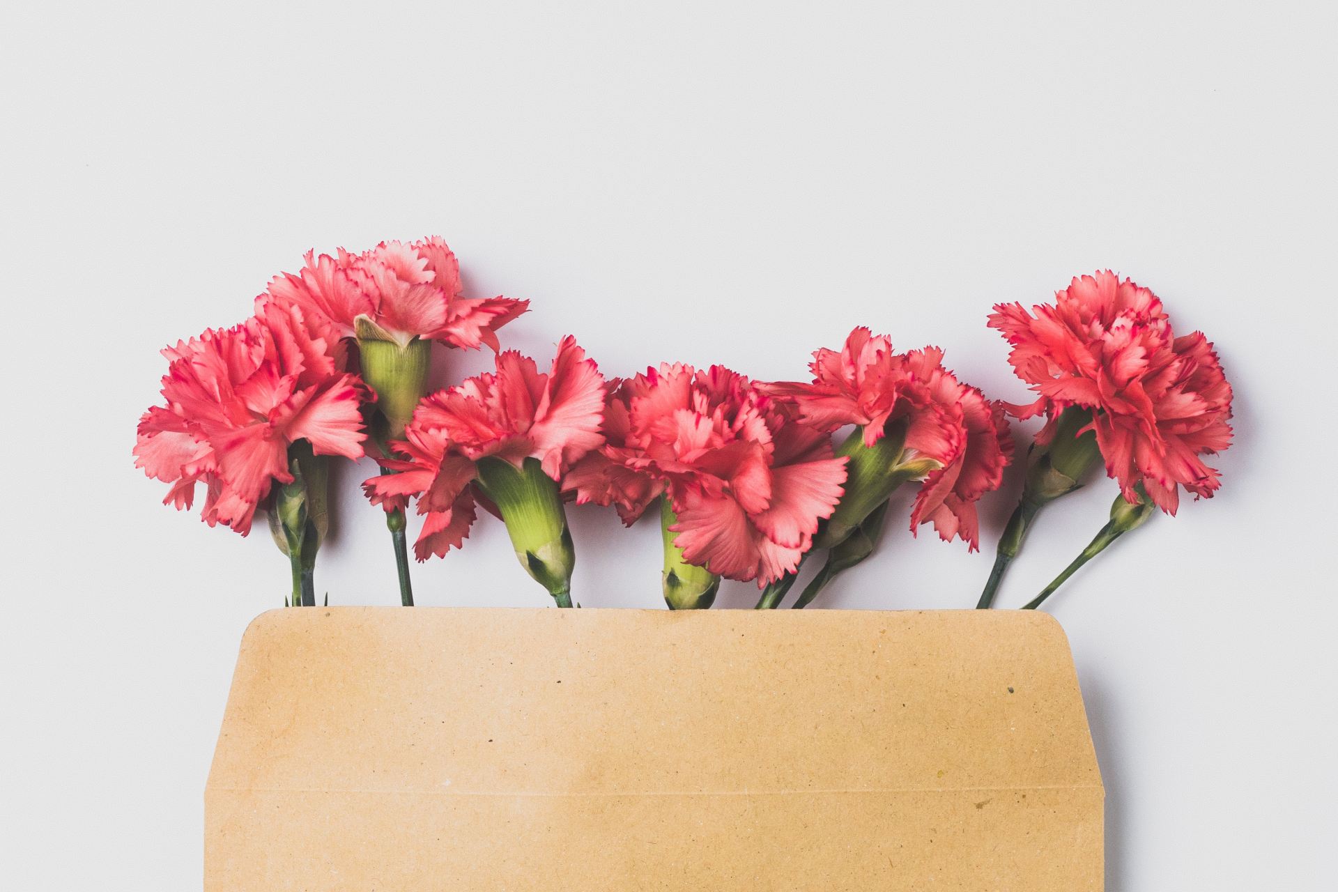 pink roses on brown paper bag