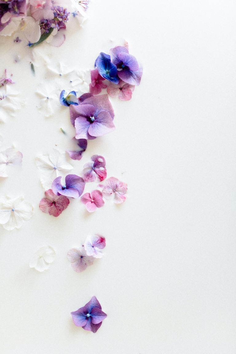 white and purple flower petals