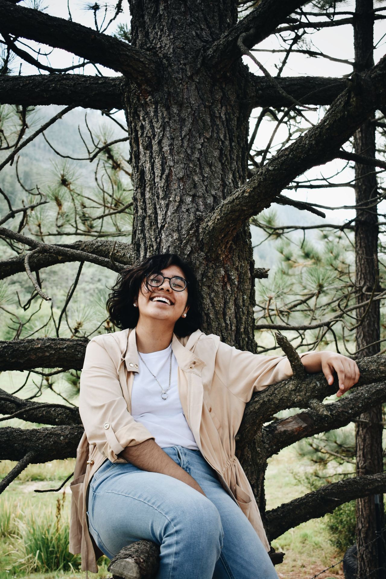 woman in white dress shirt sitting on brown tree branch during daytime