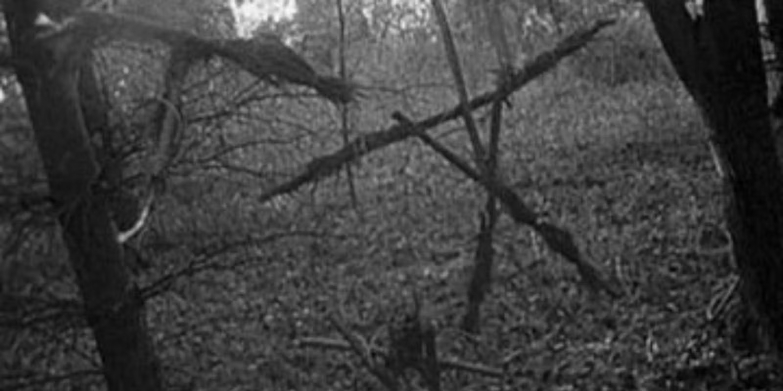 25 Years Later, Here Are 5 Things ‘The Blair Witch Project’ Taught Us NOT To Do
