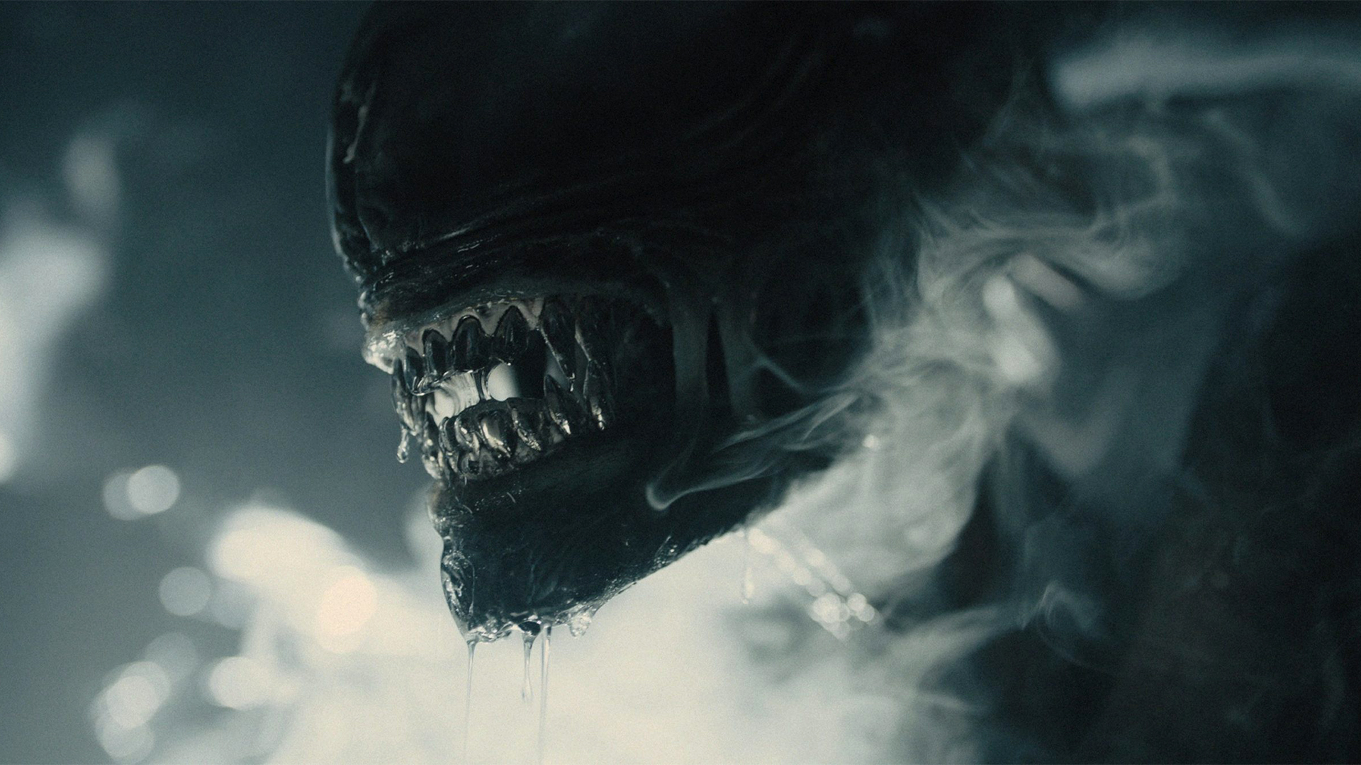 ‘Alien: Romulus’ Cares, Scares, and Dares to Be Controversial
