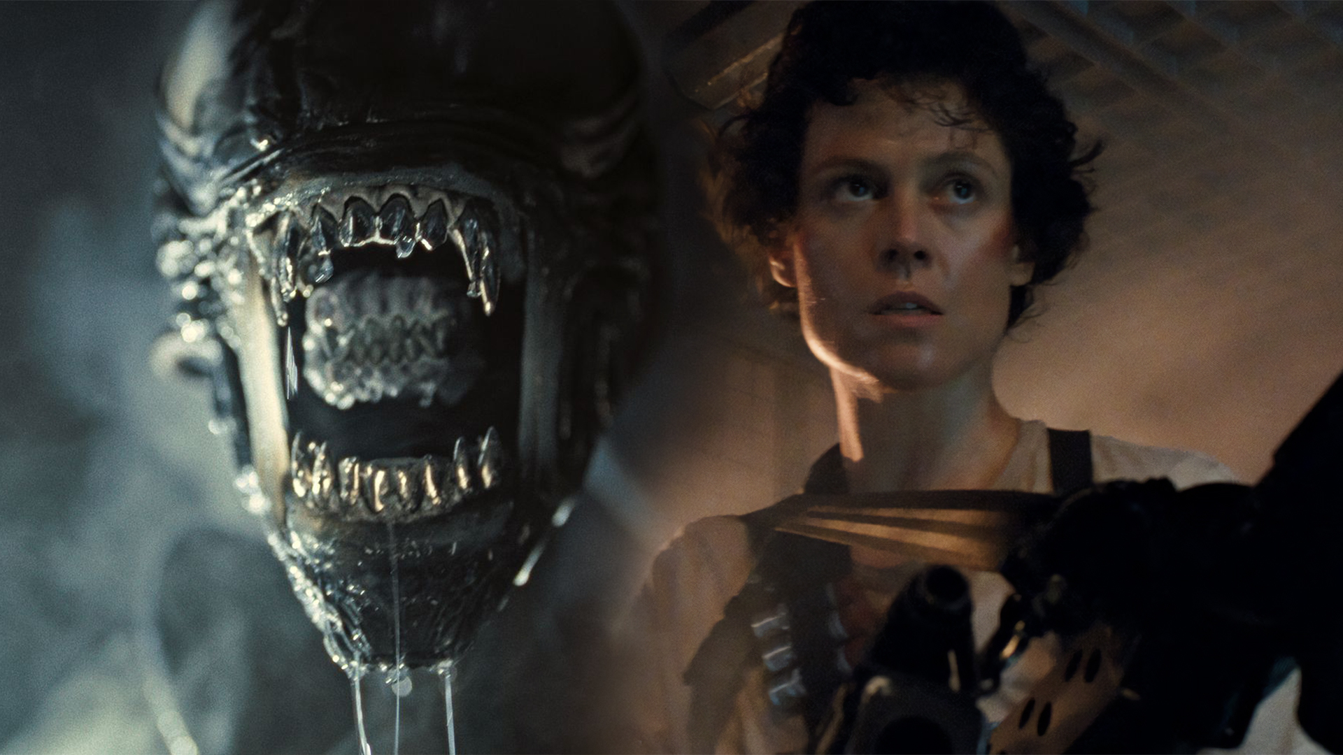 The 7 Best Moments in the ‘Alien’ Series