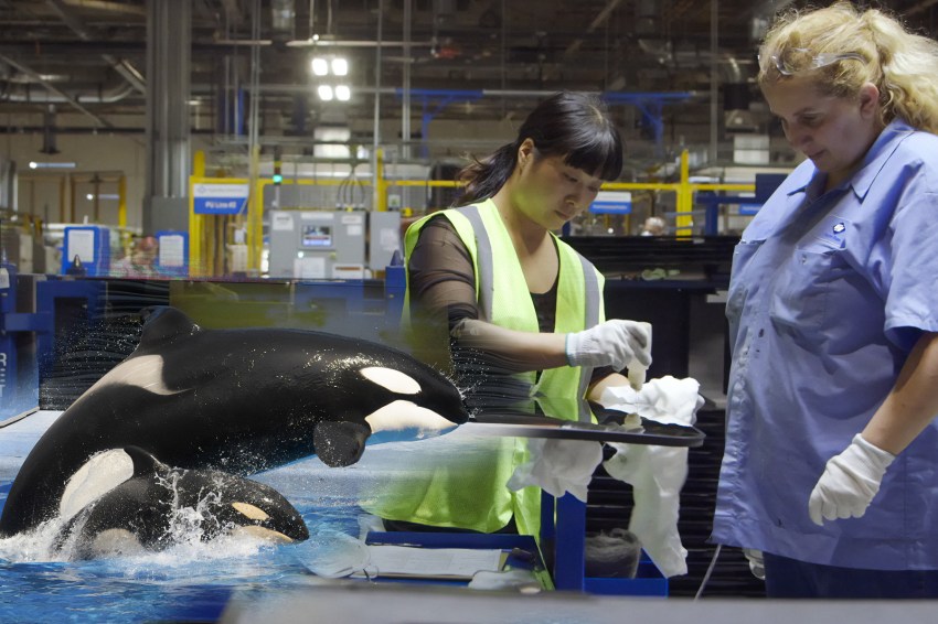 7 Best Documentaries On Netflix Streaming In March