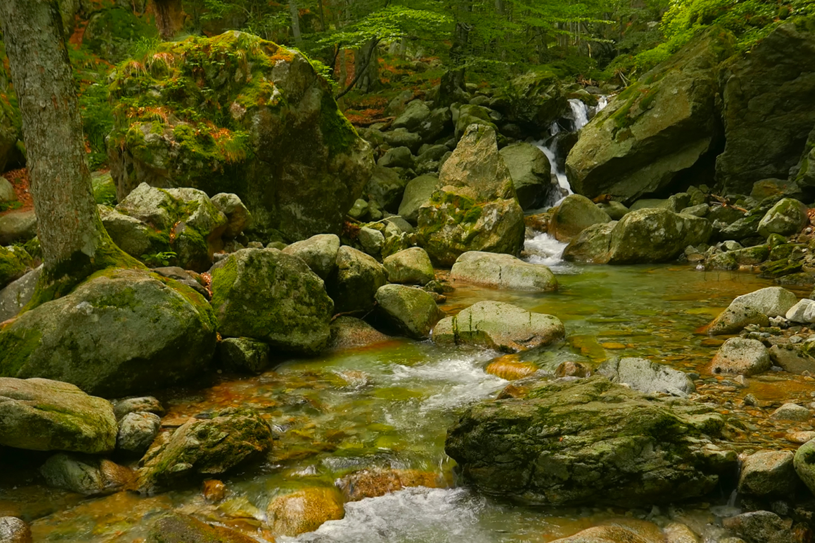 20 Relaxing Ambient Videos That Will Turn Your Living Room Into A Dreamy Escape