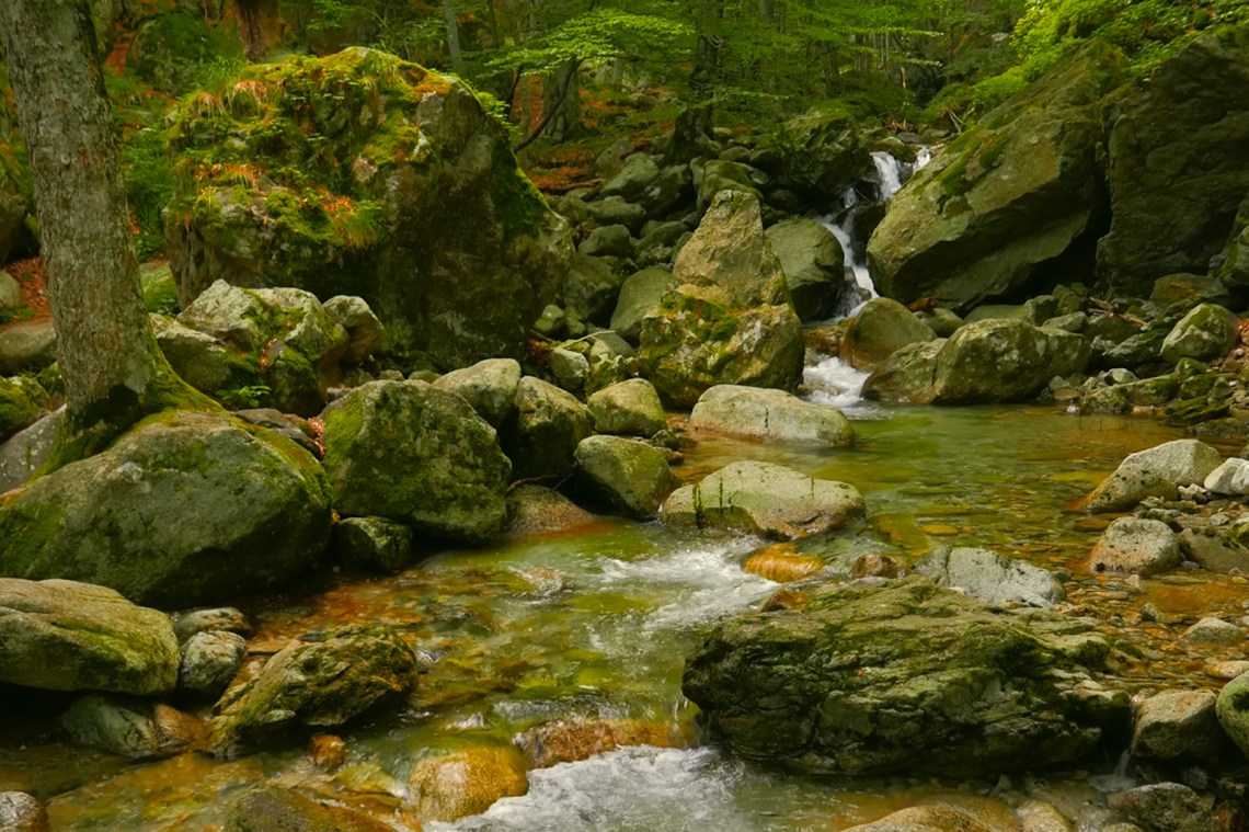 20 Relaxing Ambient Videos That Will Turn Your Living Room Into A Dreamy Escape